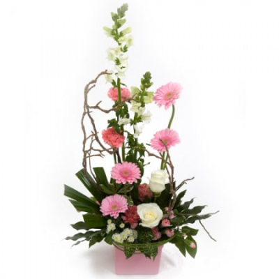 Modern Arrangement - A contemporary arrangement of pinks and creams combined with unusual foliage. Order this item before 2pm for same day delivery by Molly Blooms Ltd in Penketh.